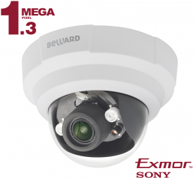 IP камера B1510DR