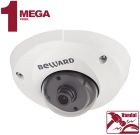IP камера B1210DM
