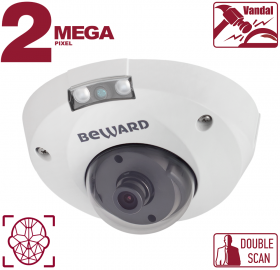 IP камера B2530DMR